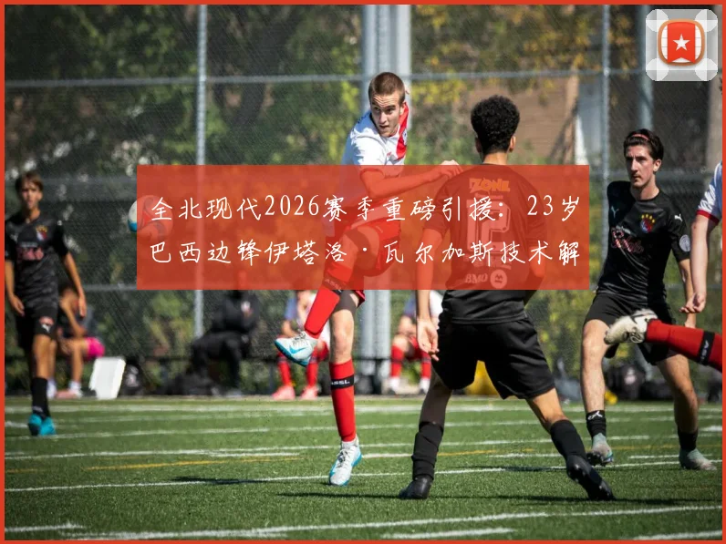 全北现代2026赛季重磅引援:23岁巴西边锋伊塔洛·瓦尔加斯技术解析与前景展望,K联赛最新外援动态