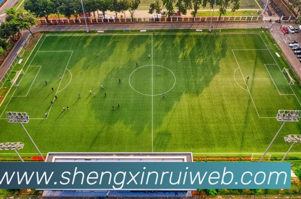 奖项图1